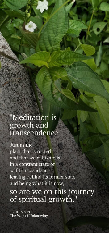 John Main says meditation is growth and transcendence.