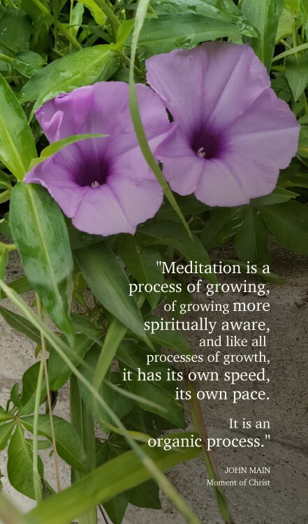 John Main says meditation is an organic process of growing.